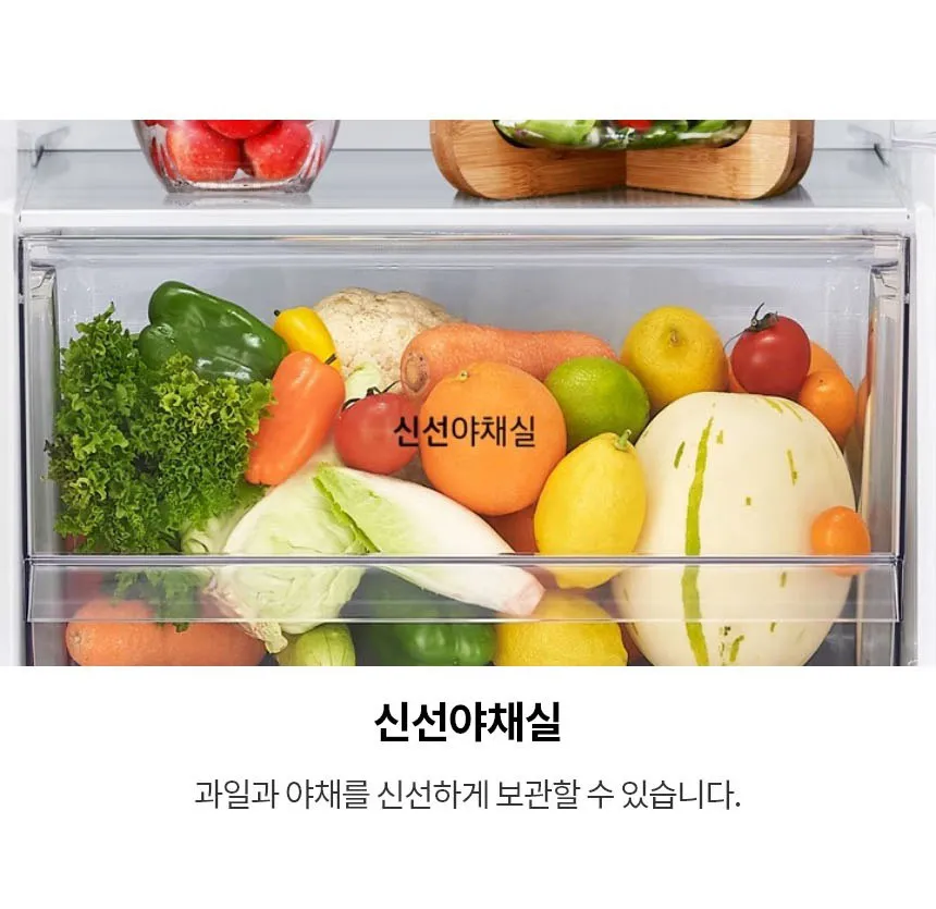 LG 일반냉장고 241L (샤인 실버) 상세정보 3