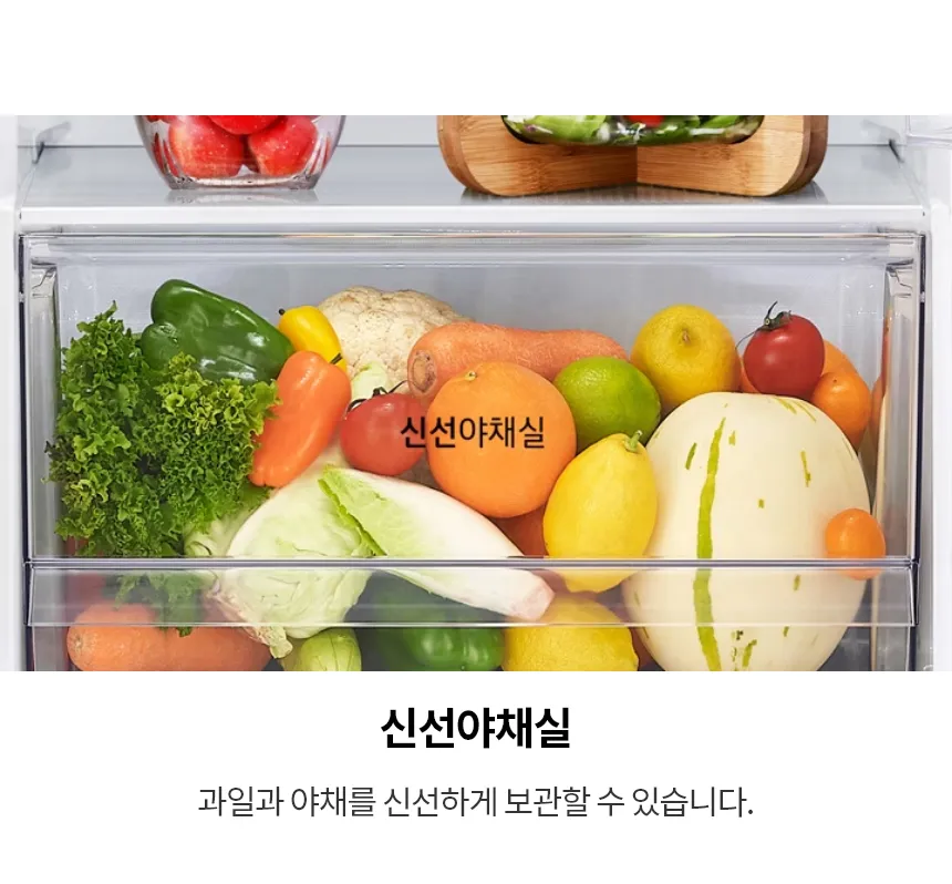 LG 일반냉장고 241L (화이트) 상세정보 3
