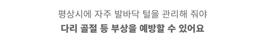 럽마이펫 5 in 1 스마트 진공 반려동물 미용기 상세정보 9