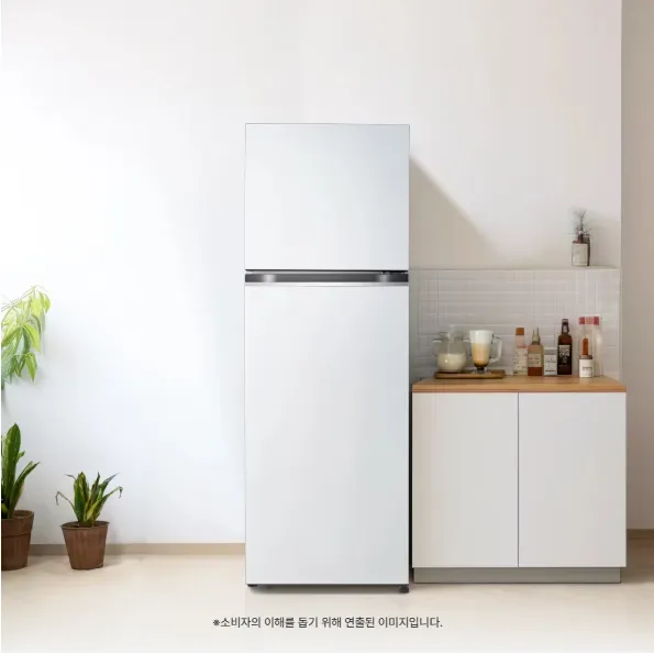 LG 일반냉장고 335L (4등급/화이트)