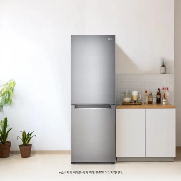 LG 모던엣지 냉장고 300L (1등급)
